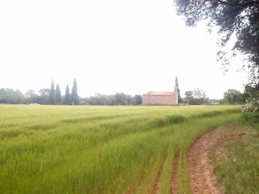 El Niuet De Cal Cacuet, La Teva Escapada Rural. Lejlighed Aviá Eksteriør billede